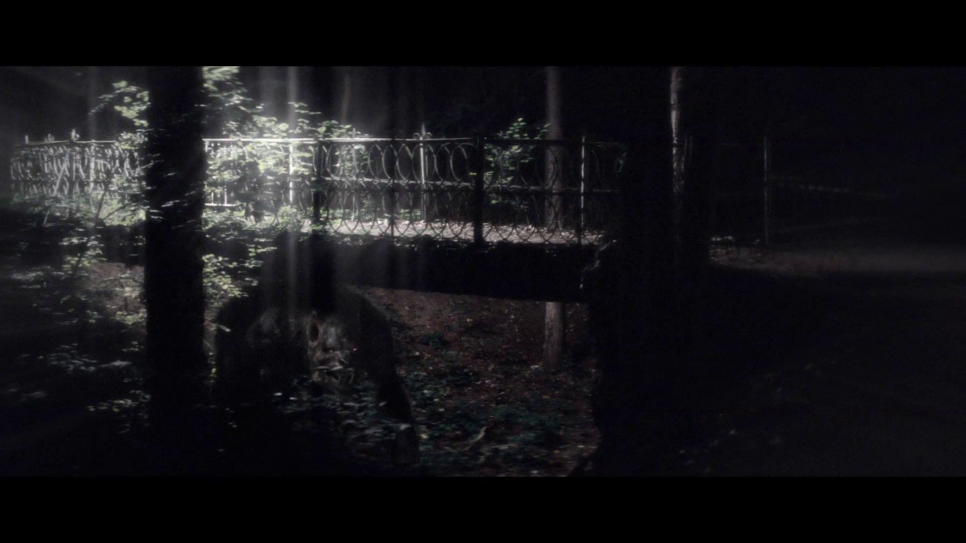 vlcsnap-2014-12-01-23h51m56s177.png