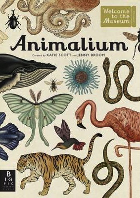 animalium 283x400.jpg