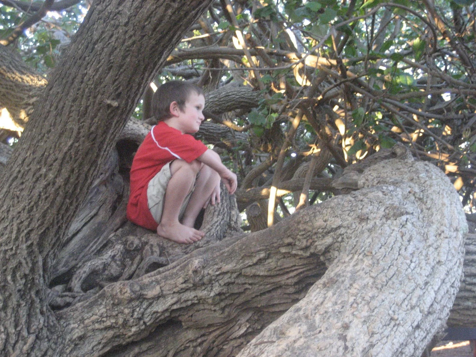 9 picture books that help us to understand the joy and sometimes the challenge of kindness 