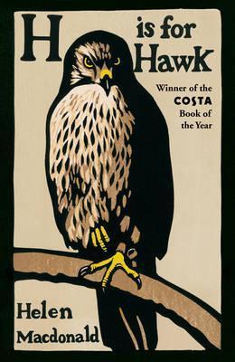 h is for hawk.jpg