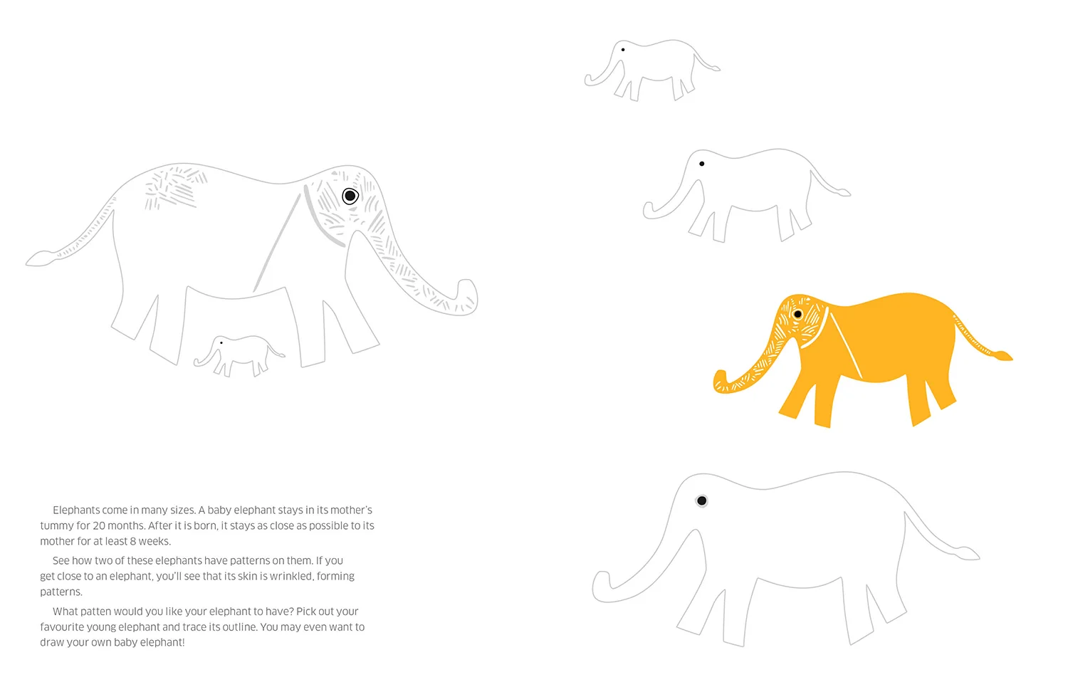 8 Ways to Draw an Elephant_spread_LR1.jpg