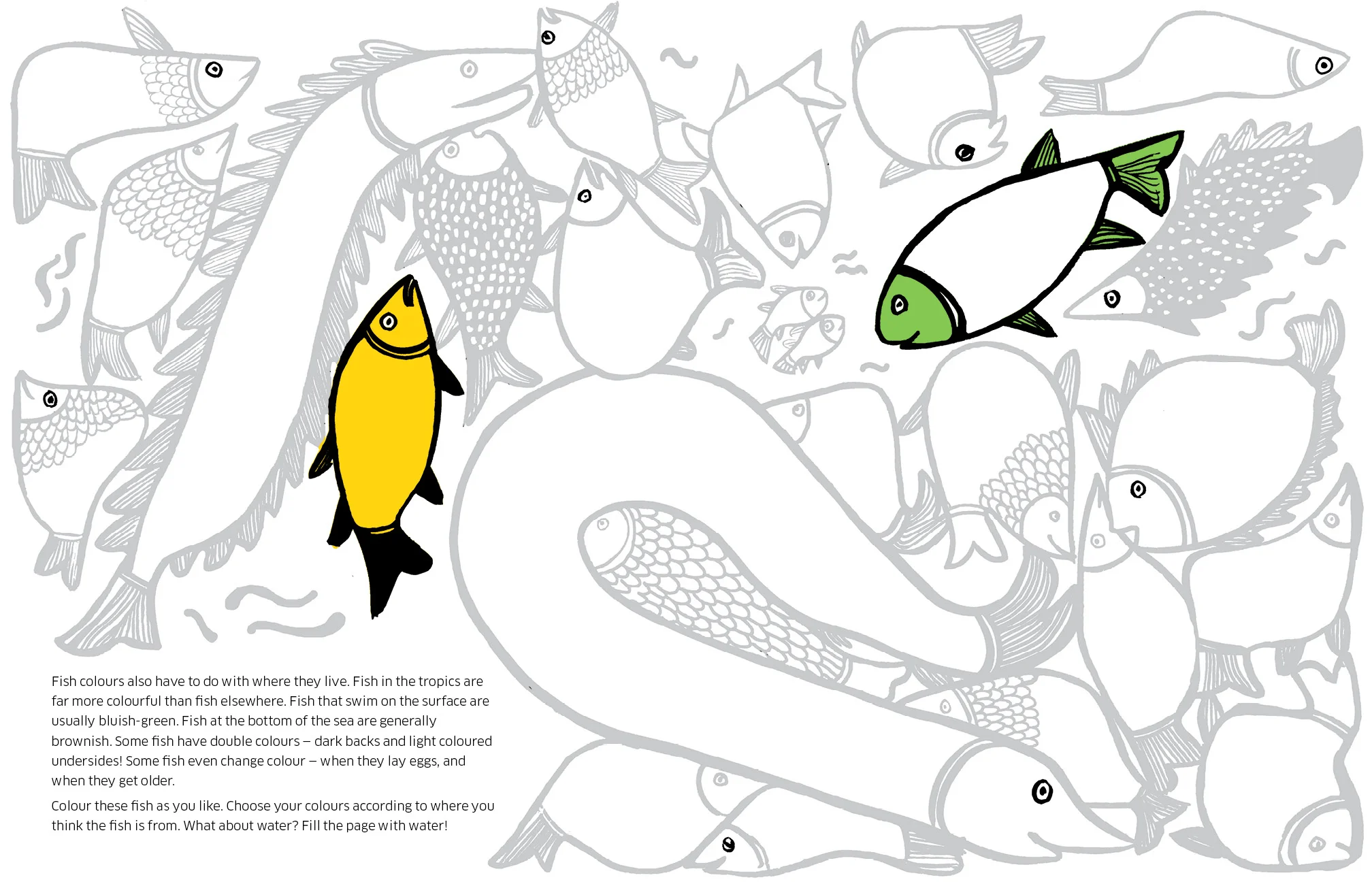 8 ways to draw a fish spread_LR3.jpg