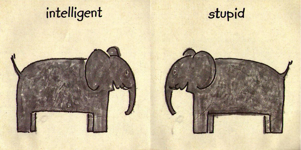 elephant elements 1155x576.jpg