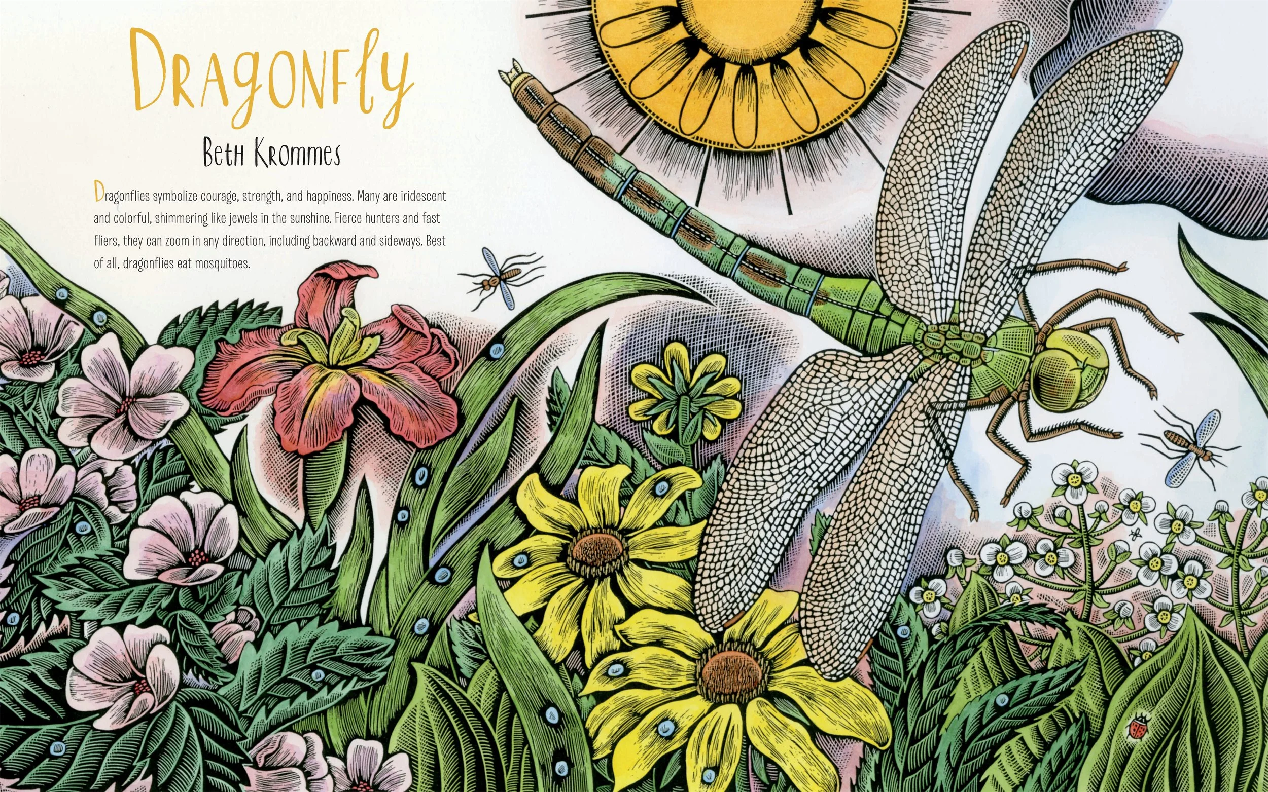 “Dragonflies symbolize courage, strength, and happiness. Many are iridescent and colourful, shimmering like jewels in the sunshine. Fierce hunters and fast fliers, they can zoom in any direction, including backwards and sideways. Best of all, dragonflies eat mosquitoes.”