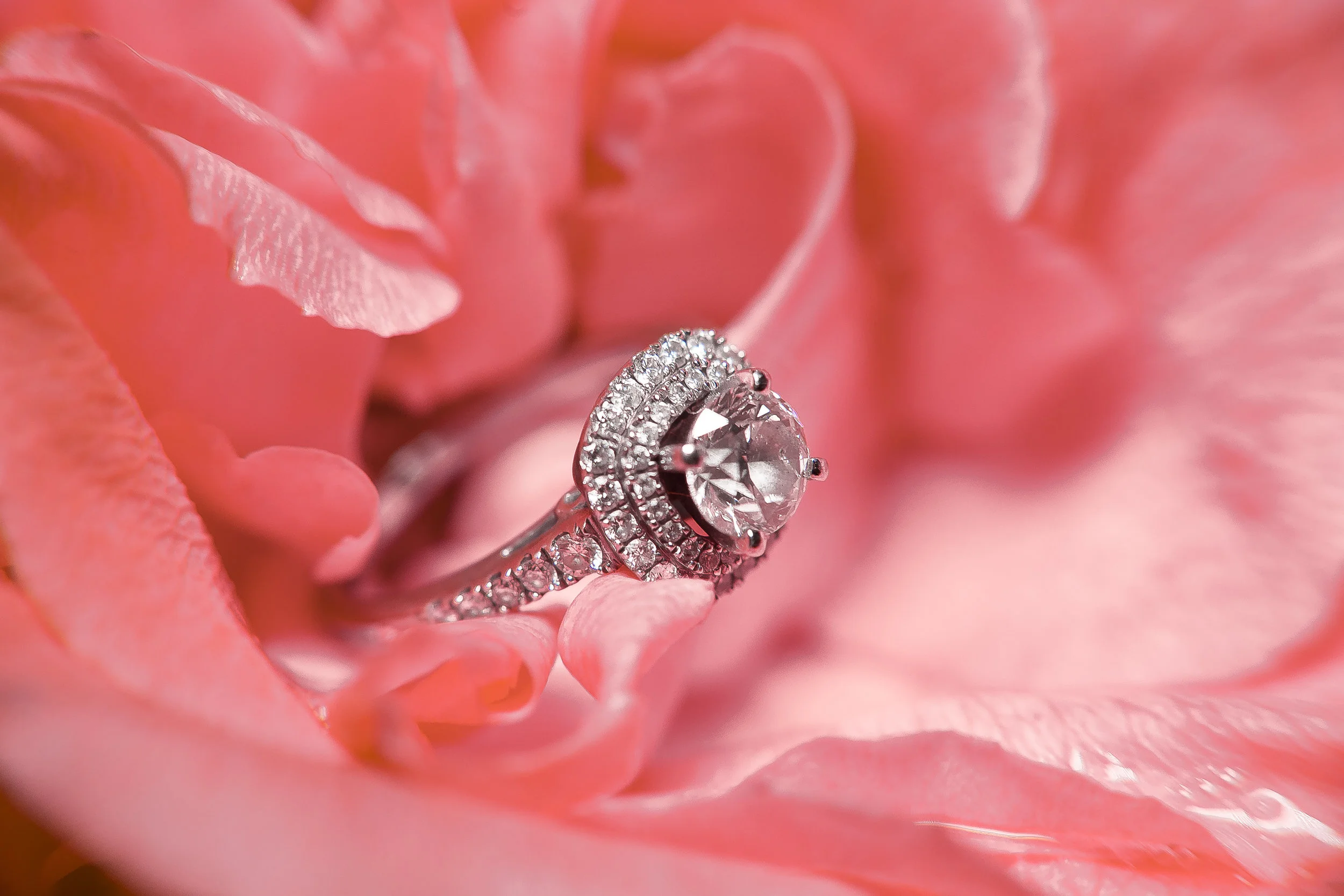 IMG_2359-2-Edit-3.jpg