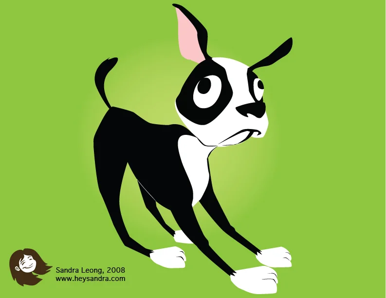 Louis the Boston Terrier