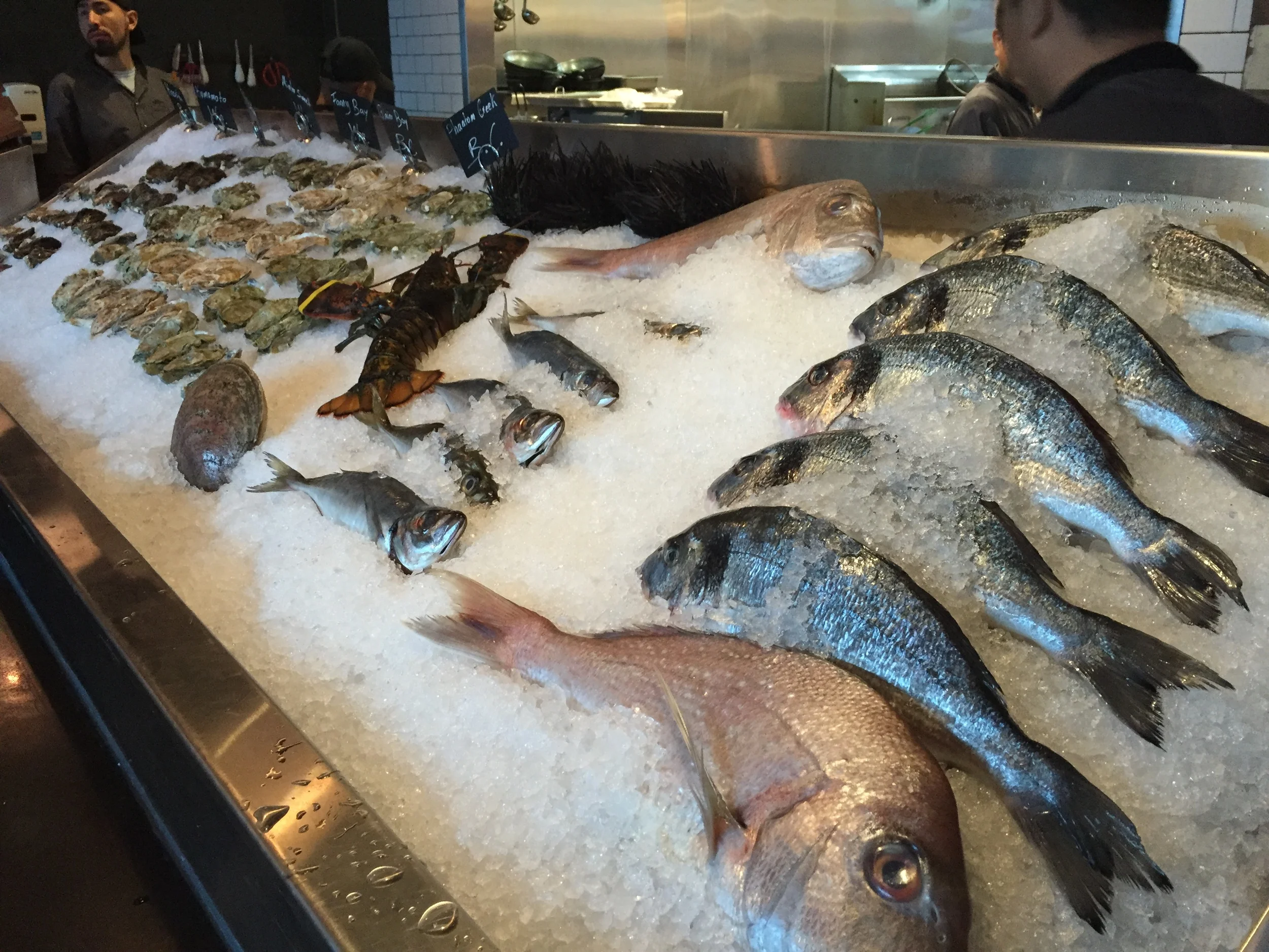 I can't wait to eat these, look how fresh these are 