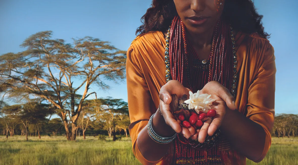 a delicate and delicious new Grand Cru from the birth place of coffee Bukeela ka Ethiopia , A tribute to the sensory finesse of Ethiopian coffee, this addition to the exclusive Nespresso Pure Origin range brings a new element of sensory surprise and aromatic pleasure to coffee lovers around the world.