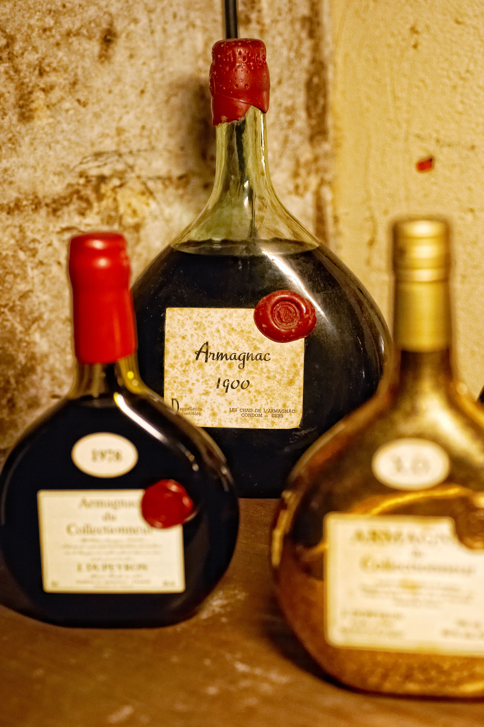 CRTMP_0017508_HD.jpg