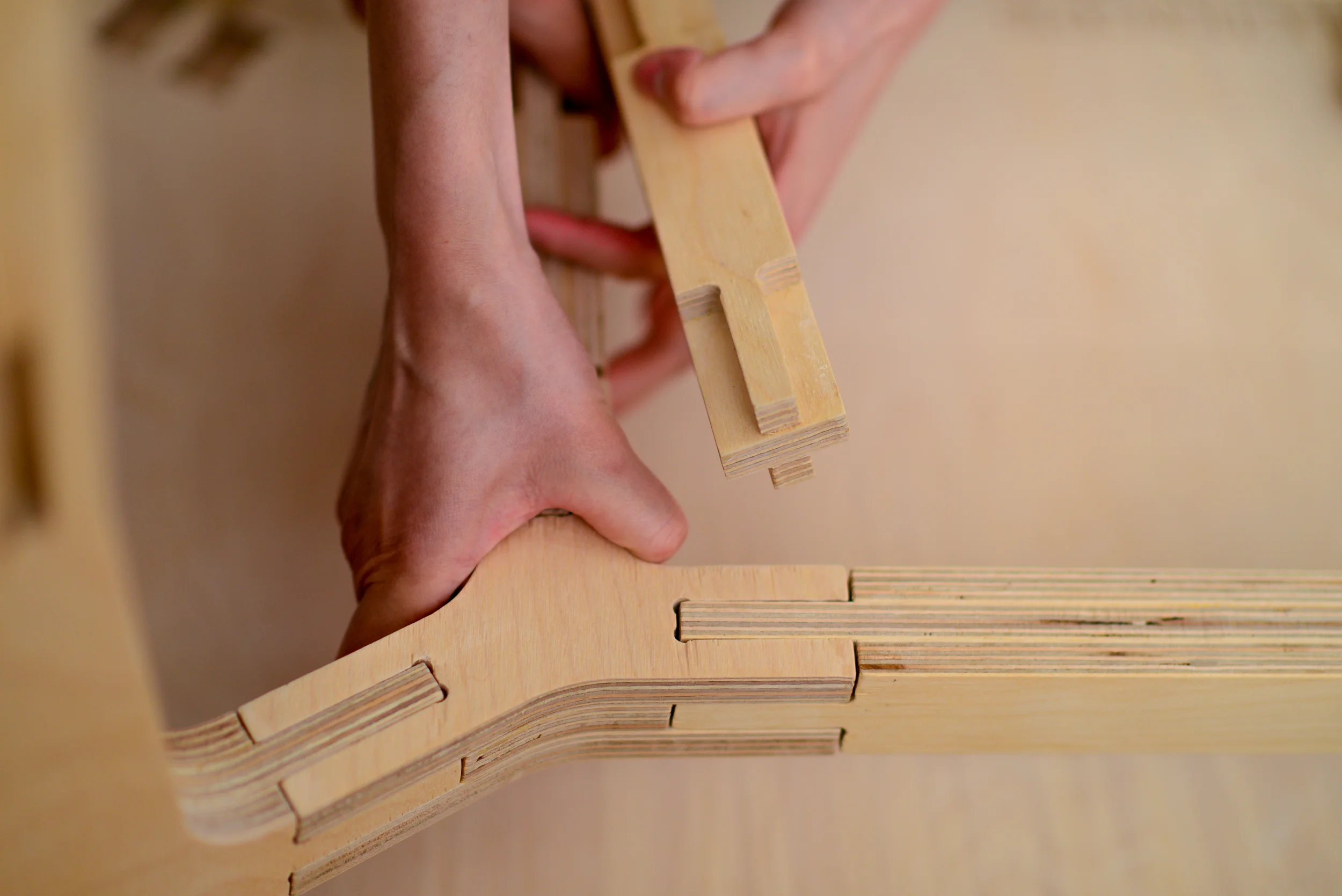 Butterply_04_Assembly.jpg