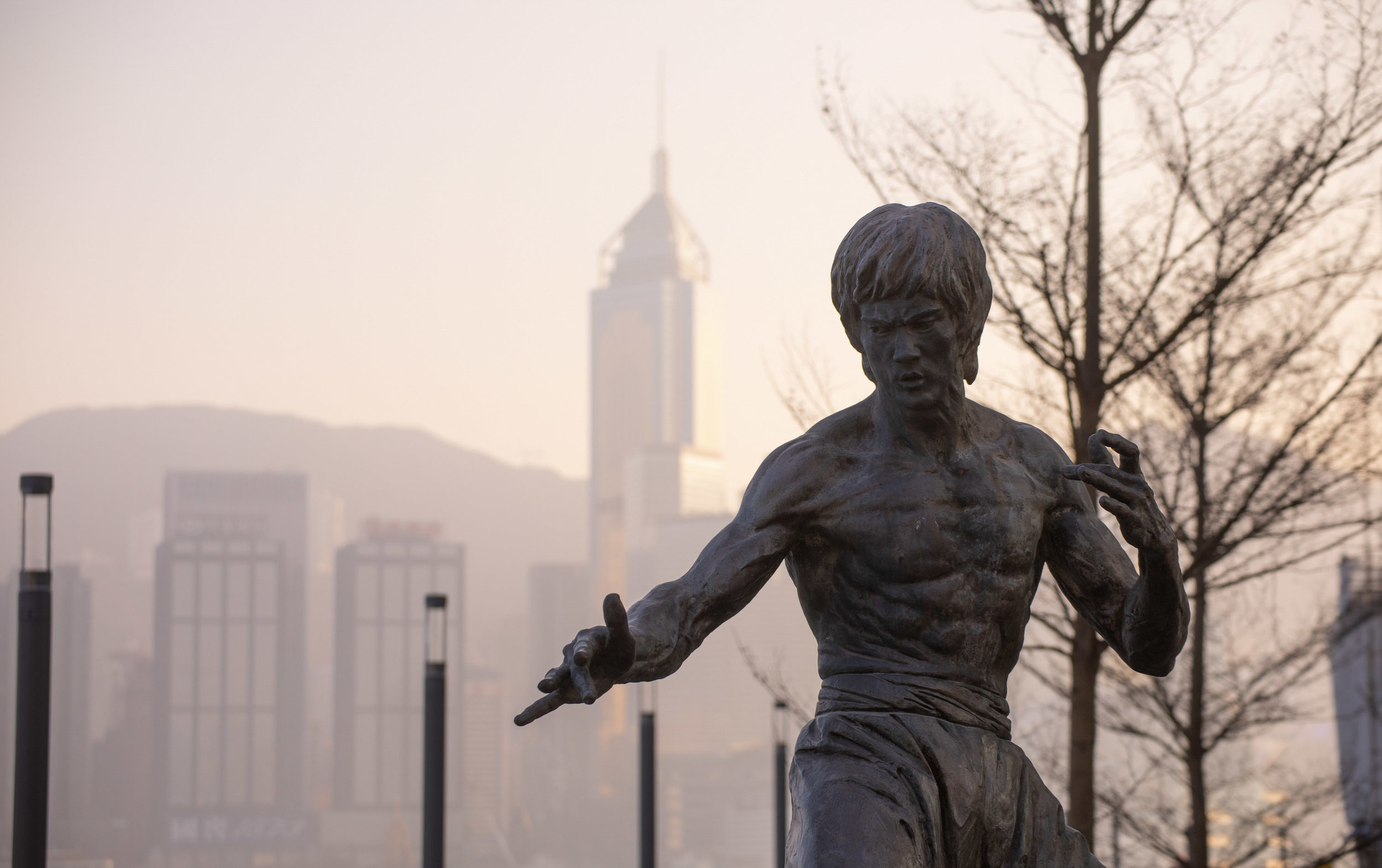 Statue - Bruce Lee.jpg