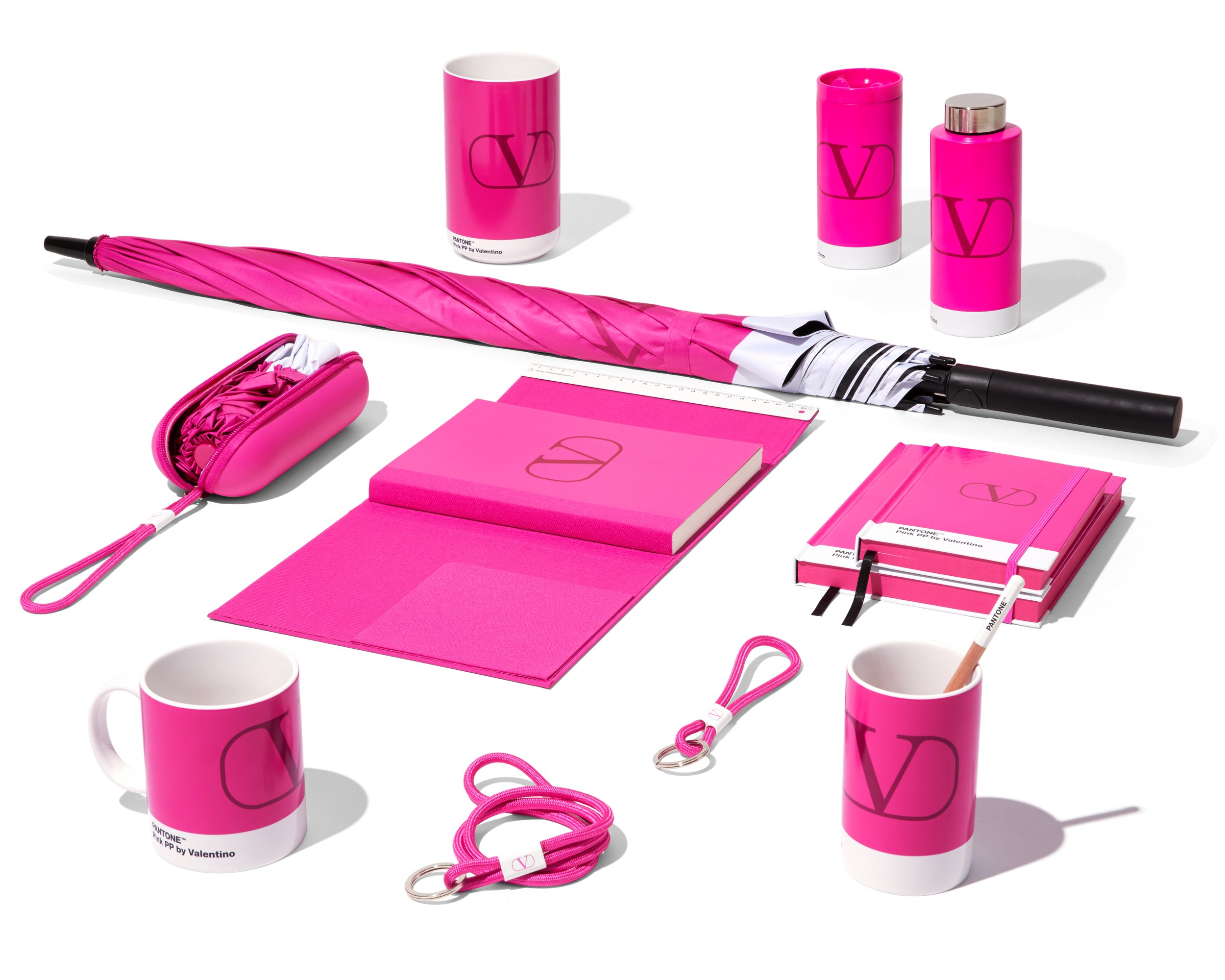 Pink PP Pantone x Valentino Limited Edition 