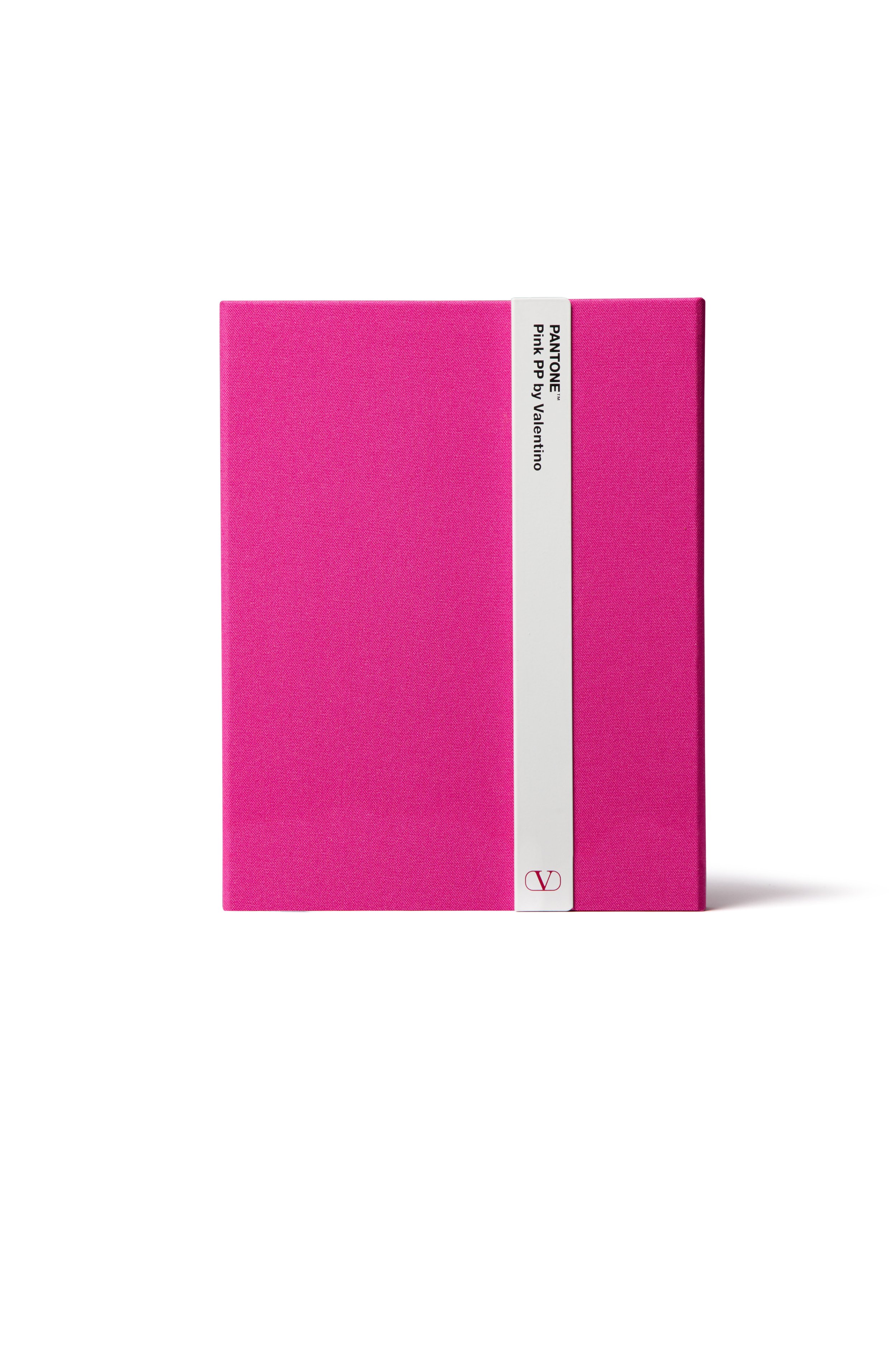 Pink PP Pantone x Valentino Limited Edition Notebook