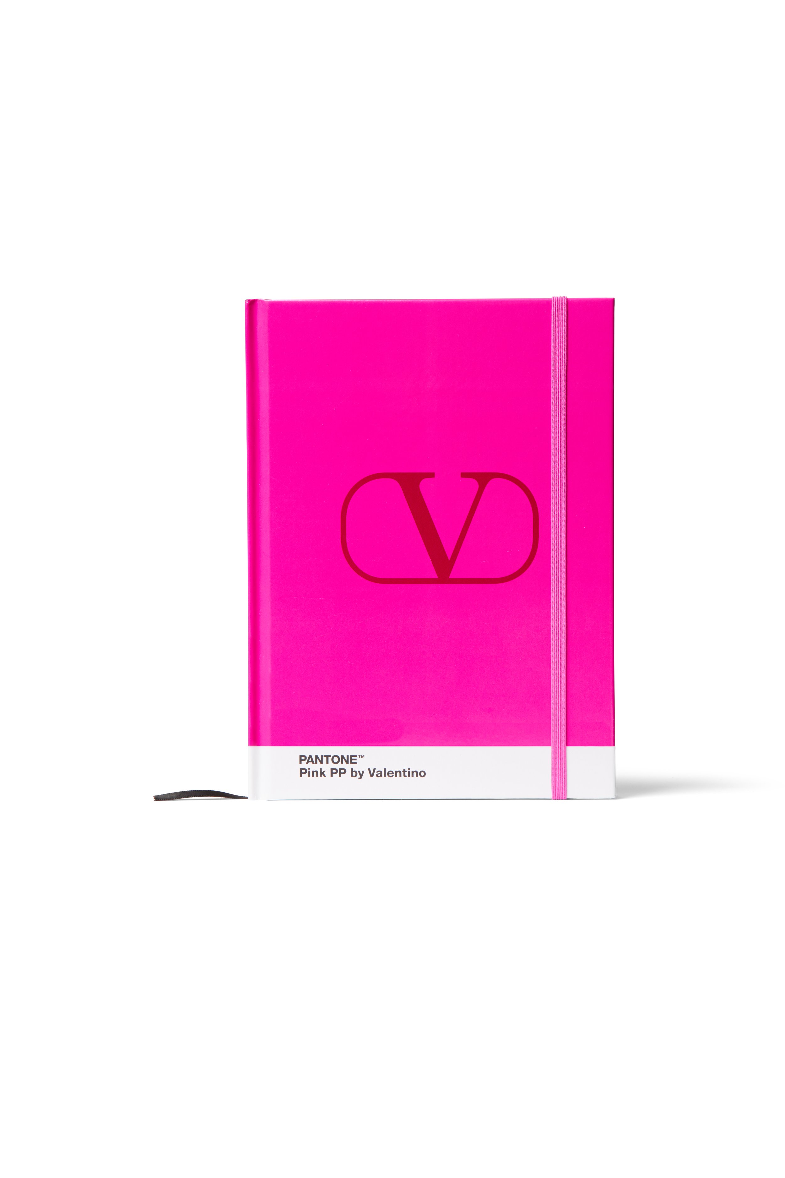 Pink PP Pantone x Valentino Limited Edition Notebook (Large)