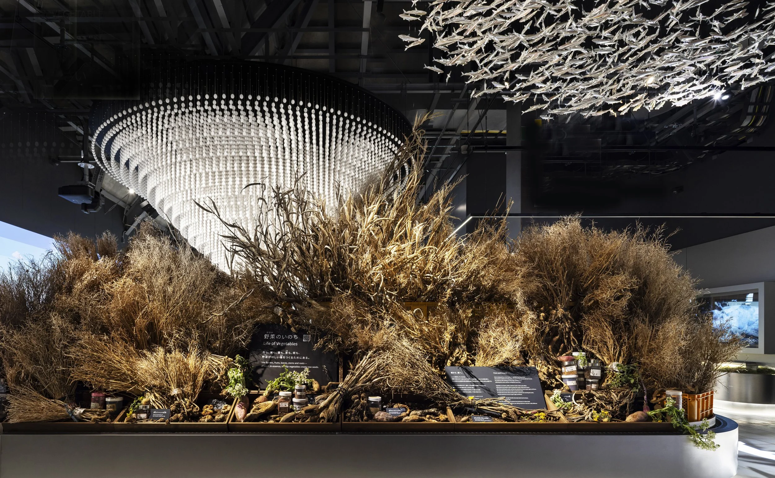 Signature Pavilion “Earth Mart” at Expo 2025 Osaka, Kansai, Japan, designed by nora,NOMURA Co.,Ltd (Japan)