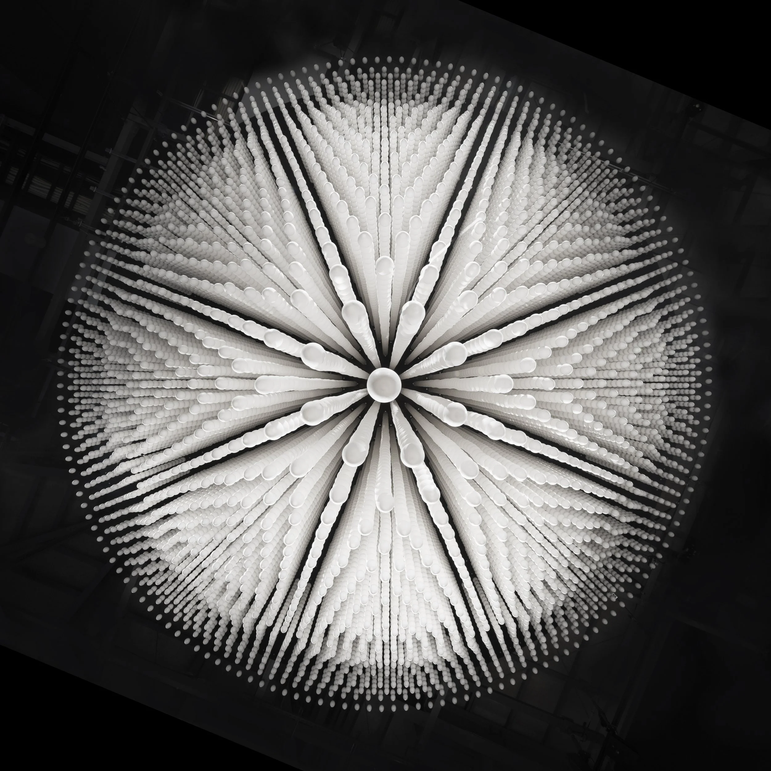 EARTH MART_007.jpg