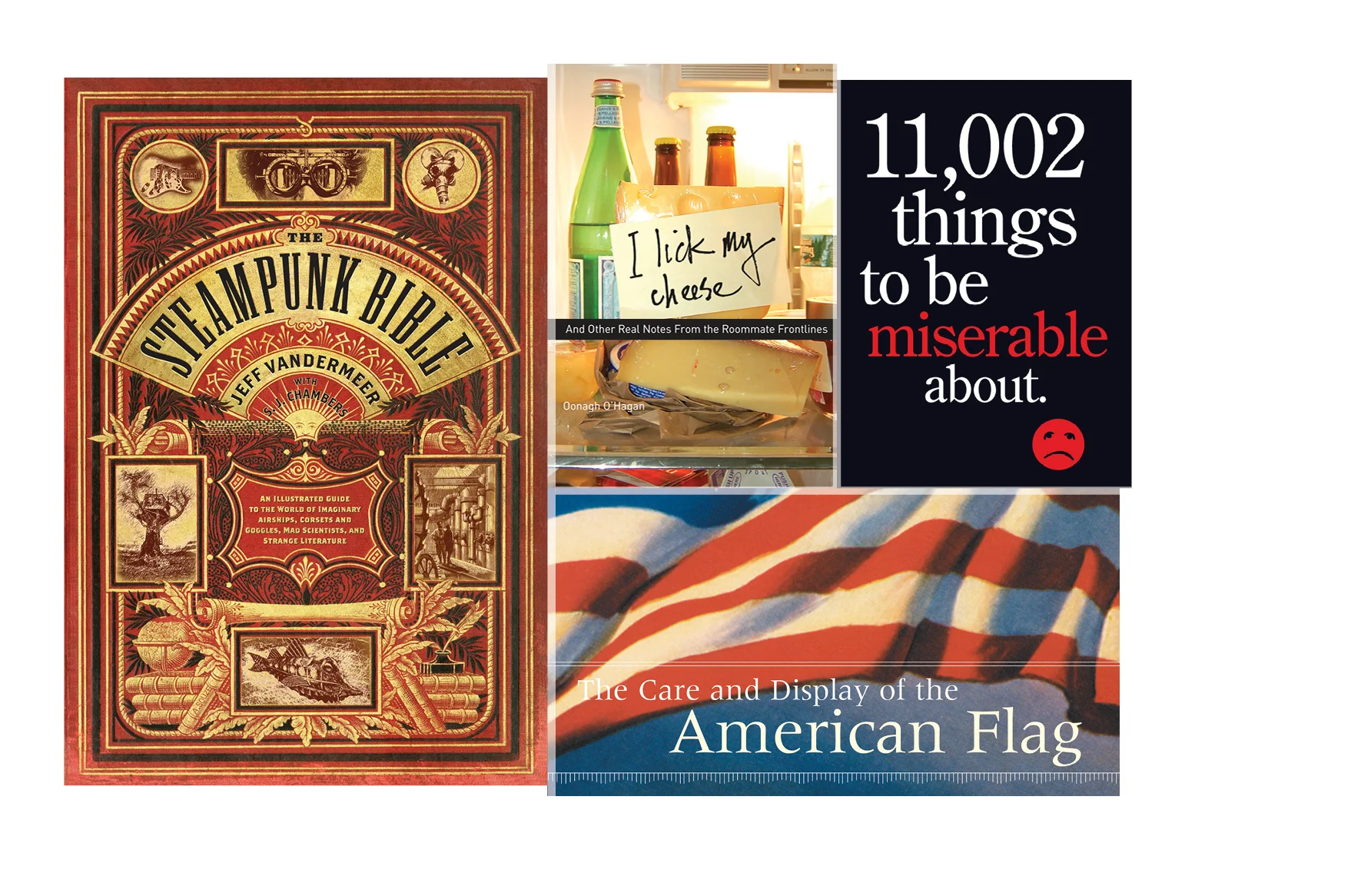 Pop culture - The Steampunk Bible, I Lick My Cheese, 11,002 Things to Be Miserable About, Care and Display of the American Flag