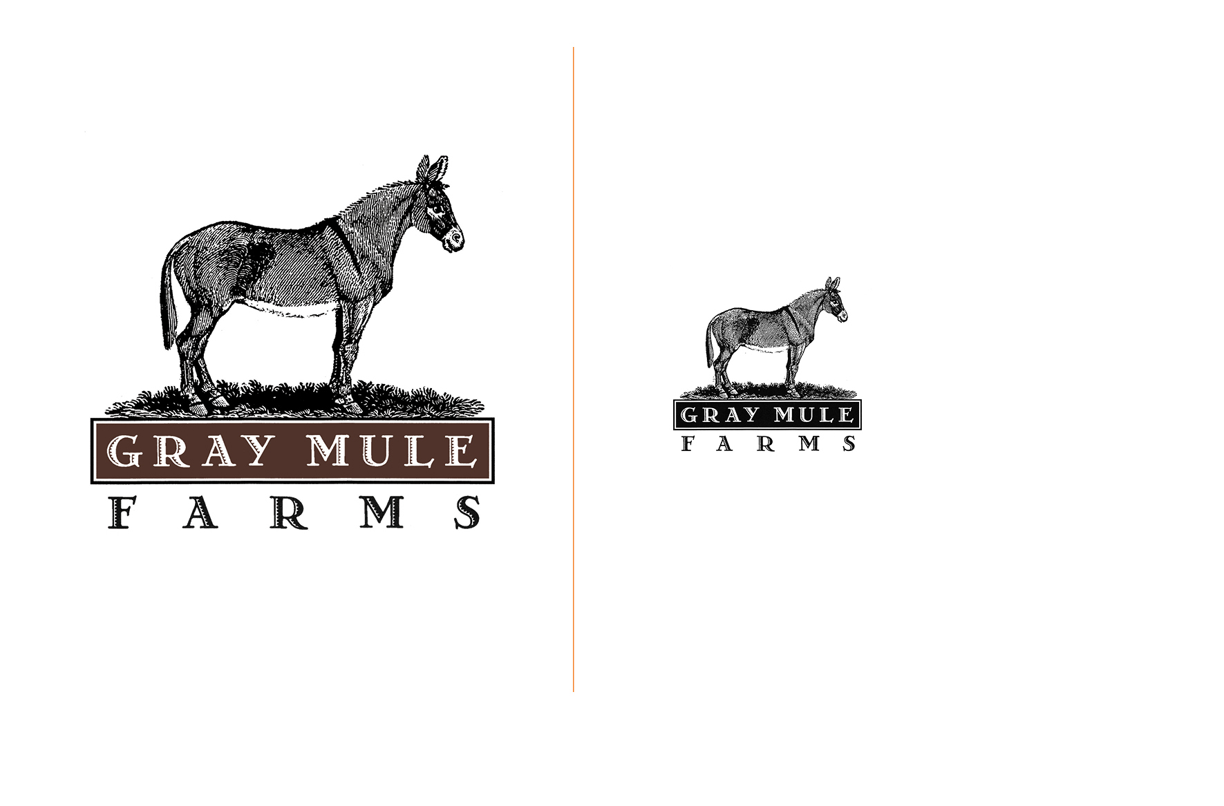   Gray Mule Farms -  Artisanal pecan farm and pecan product retailer     