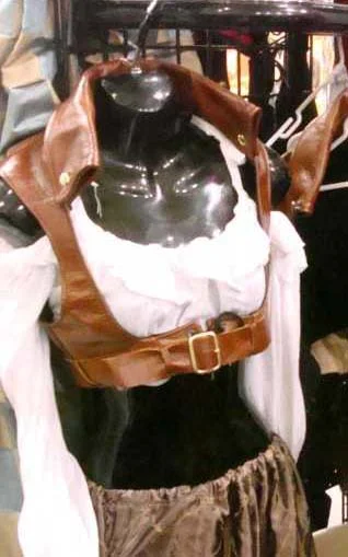 harness_display.jpg