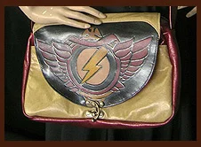 flash_thumb.jpg