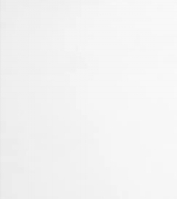 White (unbleached muslin)