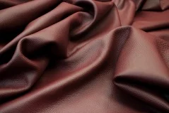 Charlotte Burgundy Rose