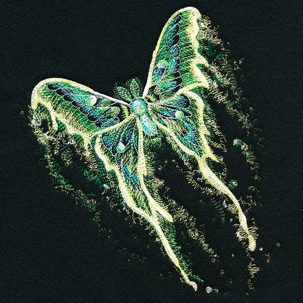 Midnight Dreams Moth.jpeg