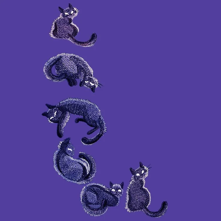 black cat border.jpg