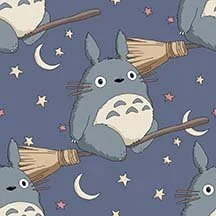 My Neighbor on a Broom (T)