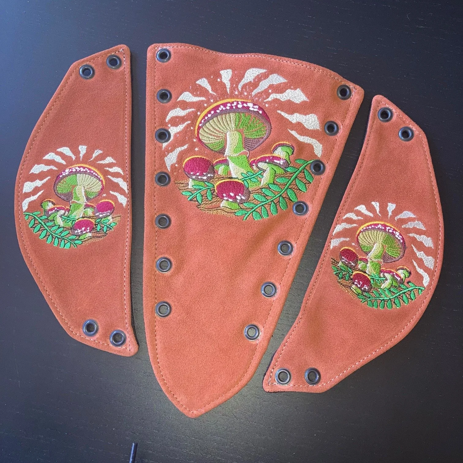 Fly agaric Mushroom.jpg