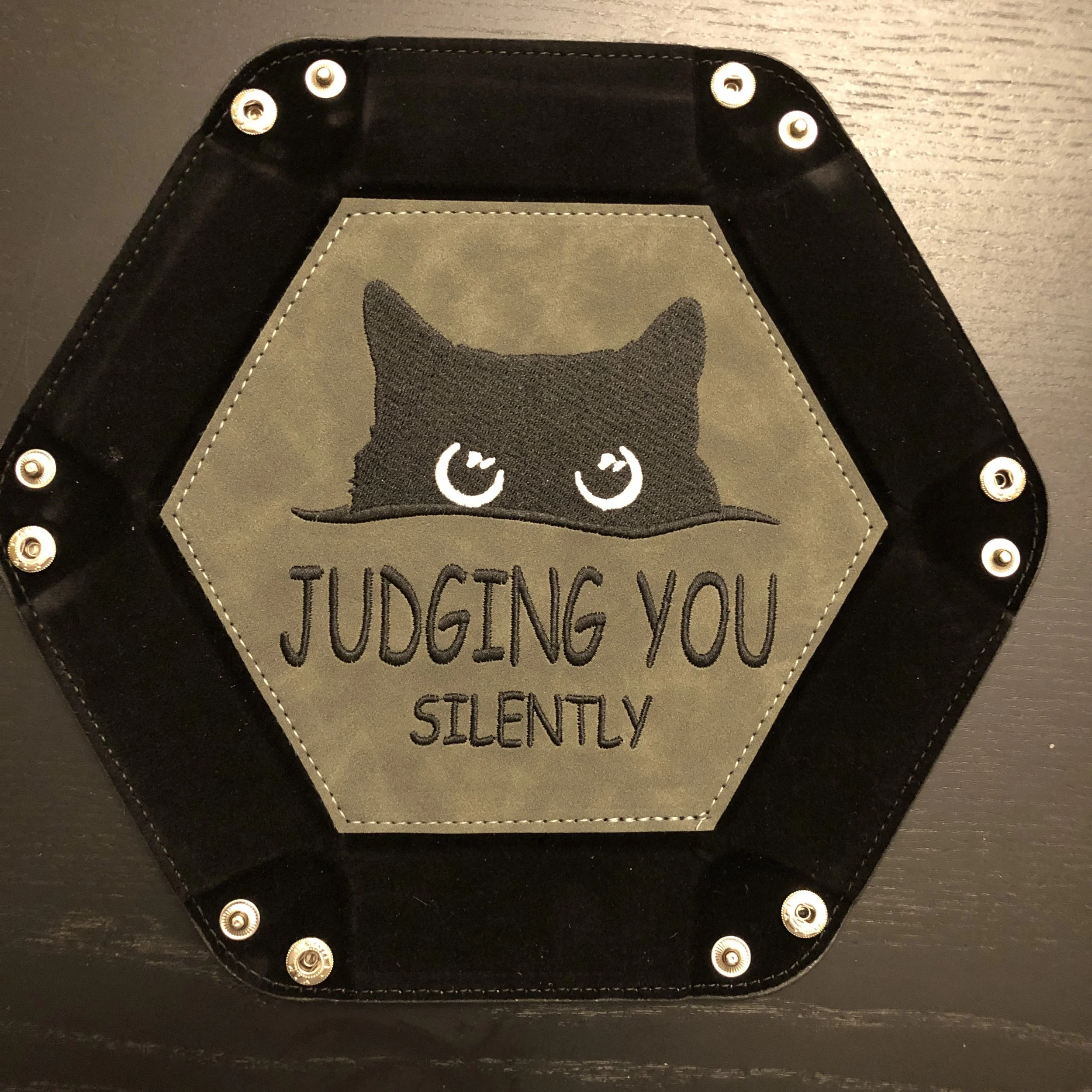 CAT JUDGING YOU.JPG