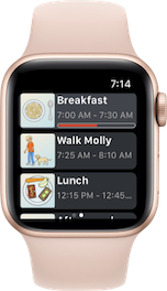 appleWatch.png