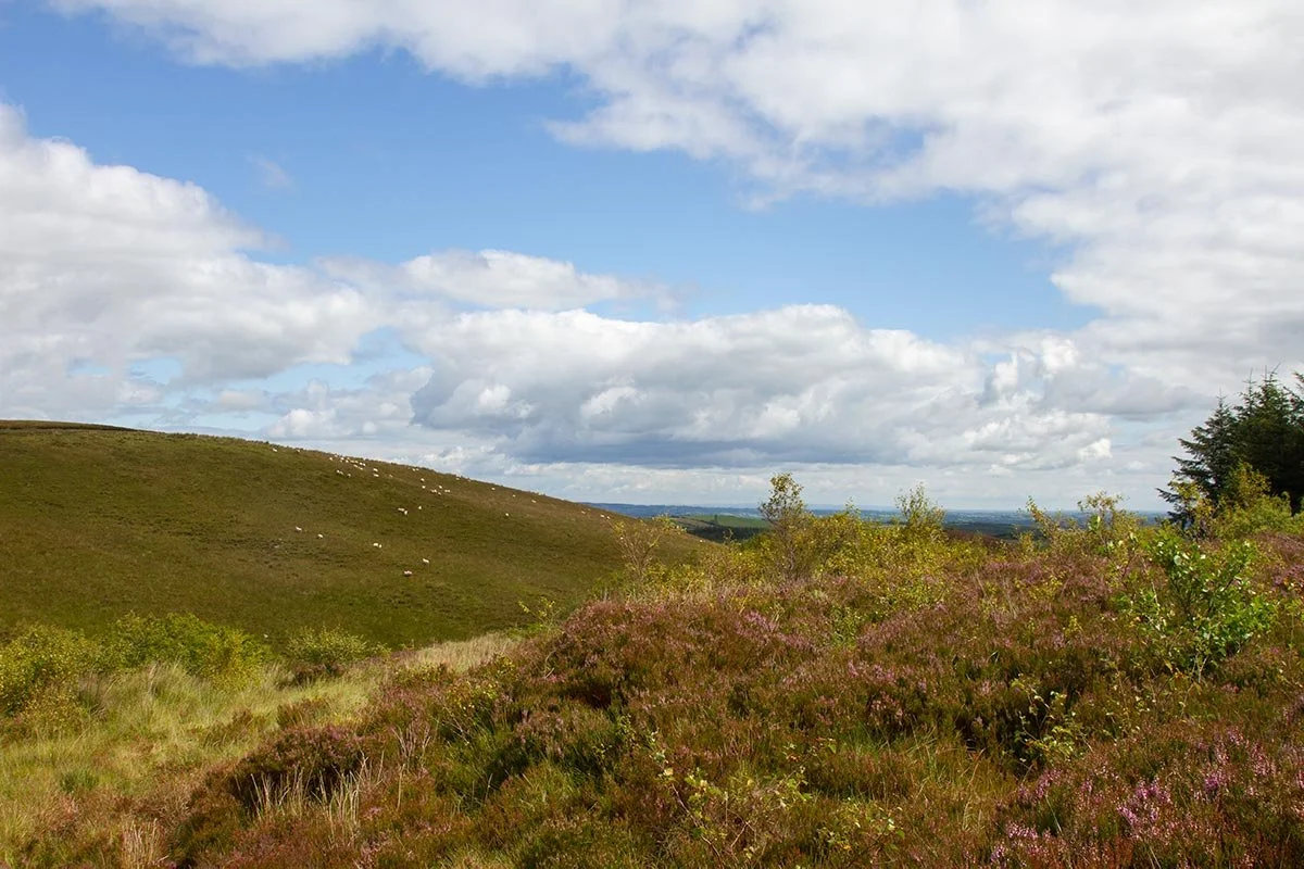 sliabh-beagh-way-hiking-ireland.jpg
