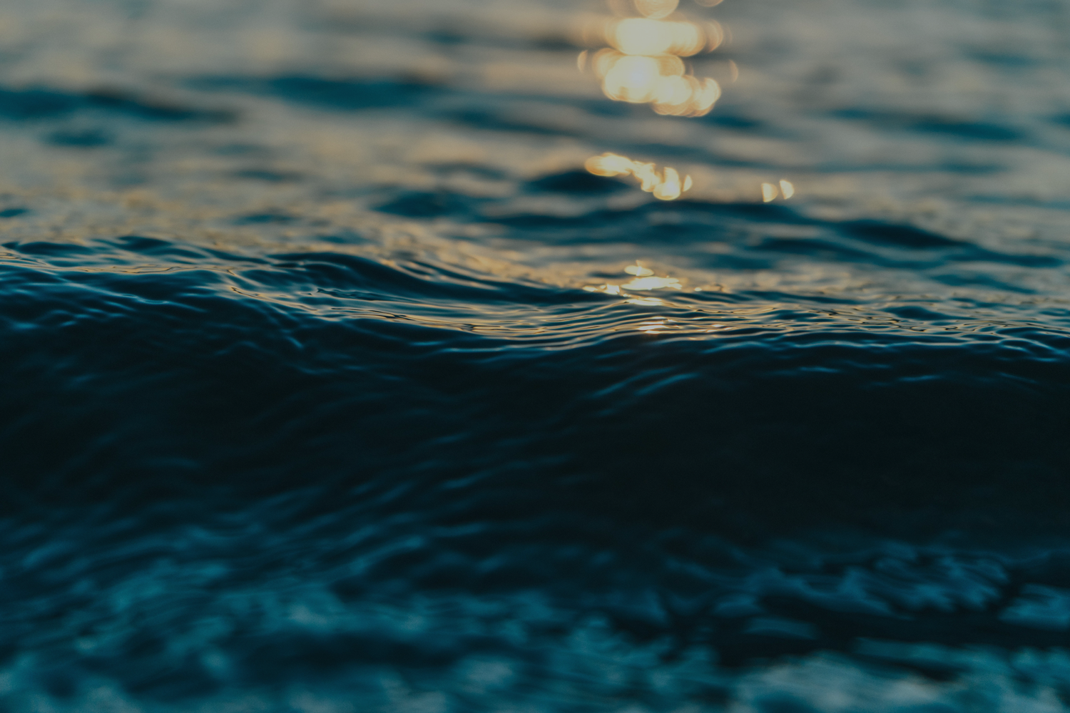 water-filter.png