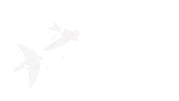 Tracy Andrews, LLC
