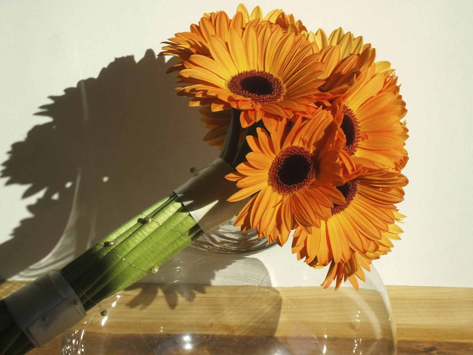 Orange gerbera.jpg