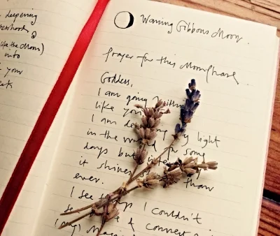 My Moon Priestess Journal...