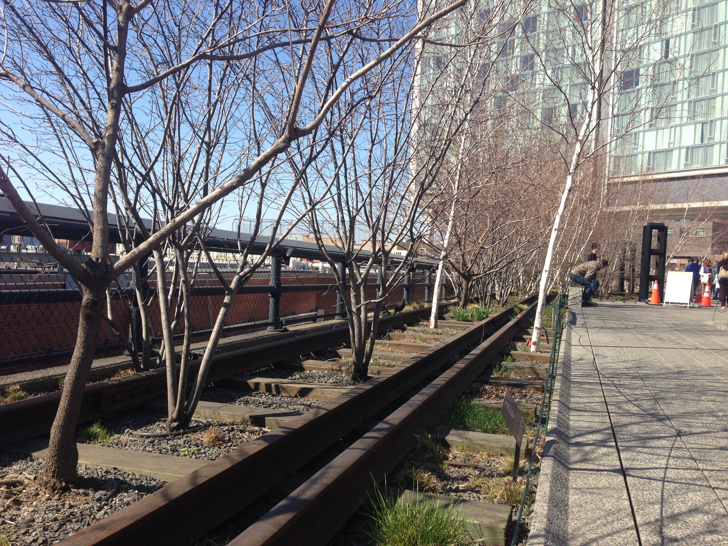 Our visit to the High Line