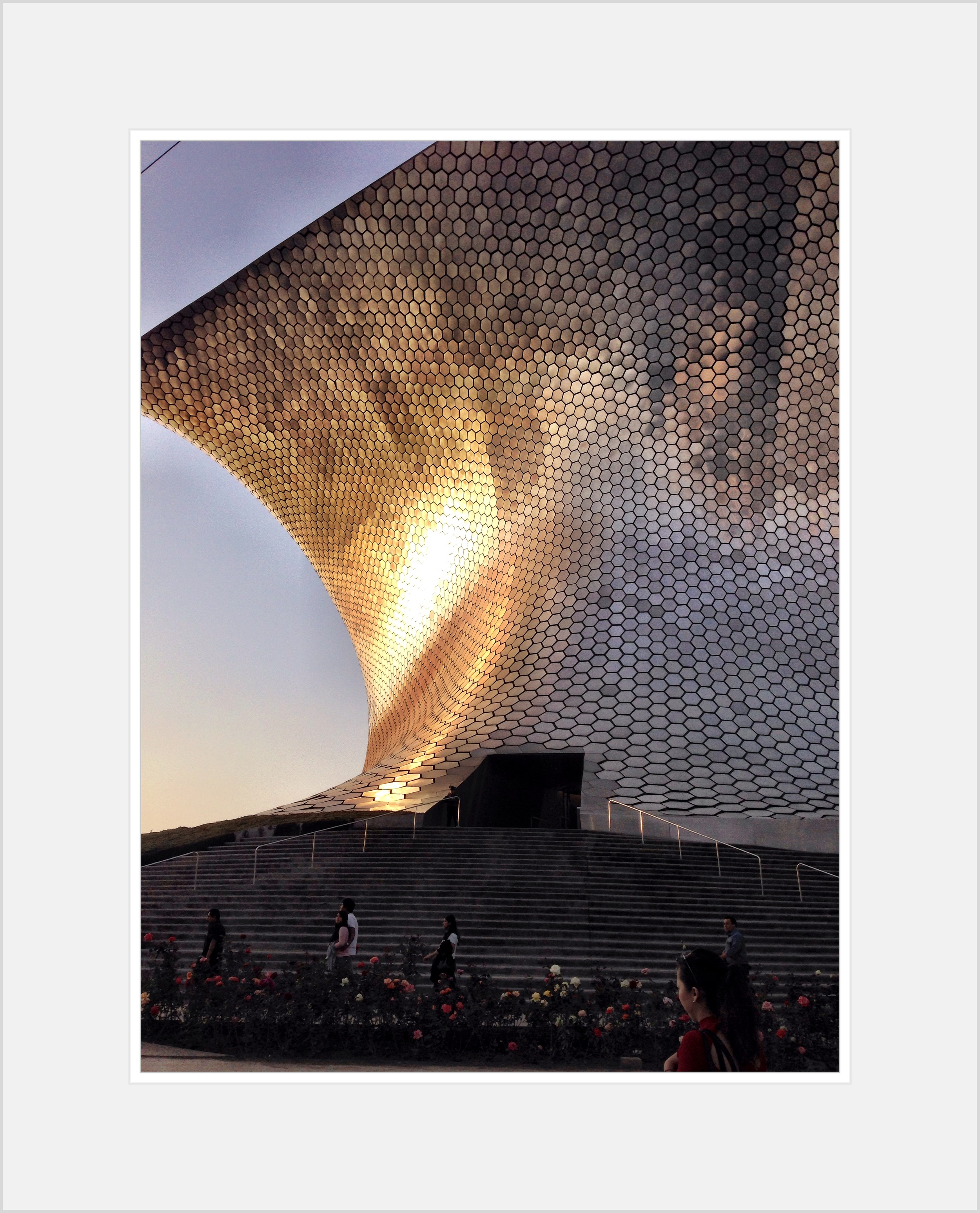 Image from my own collection. Taken with my iPhone5 with tips from Eef Ouwehand's booklet on photography for smartphones.
