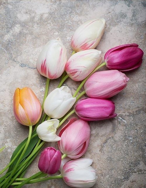 Image via here . 