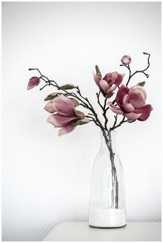 Image via here.