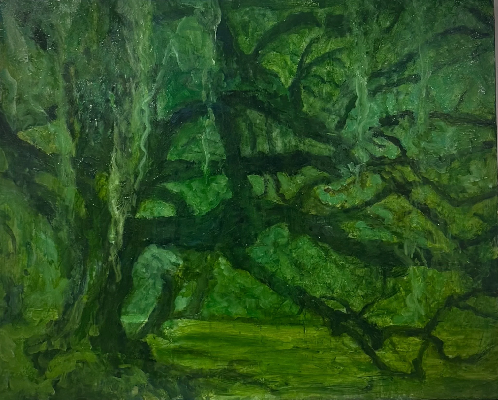 Dreaming under a Live Oak