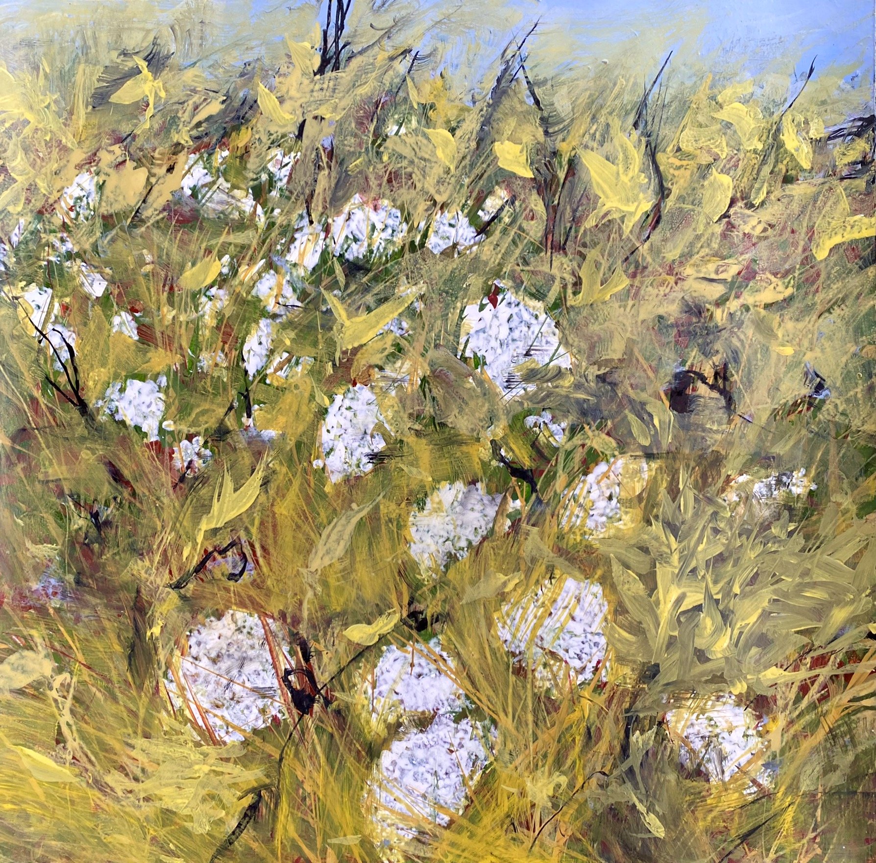 Queen Anne's Lace, 2022, acrylic on paper, 26'' x 26'', $2000.