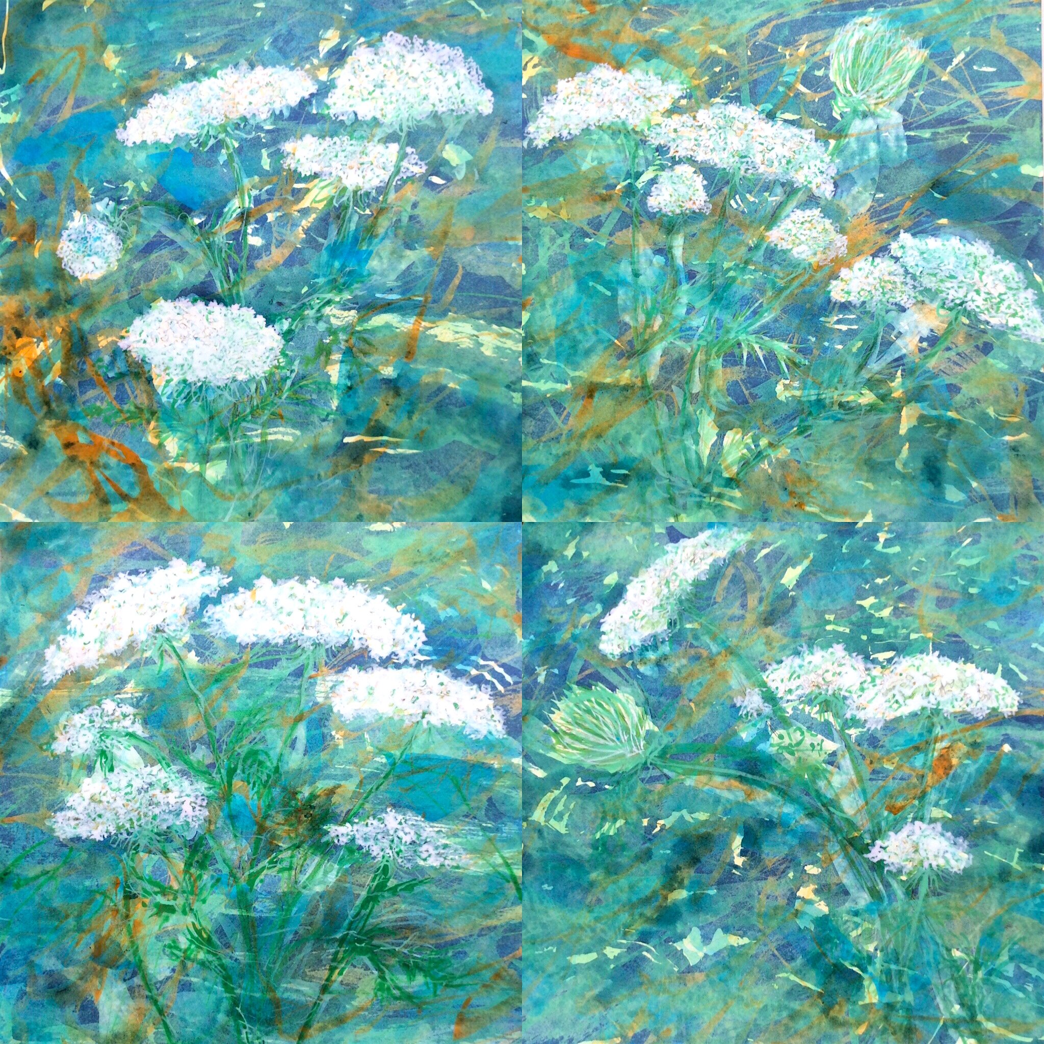  Queen Anna’s Lace, 2020, 24’’ x 24’’, acrylic on paper, Private Collection 