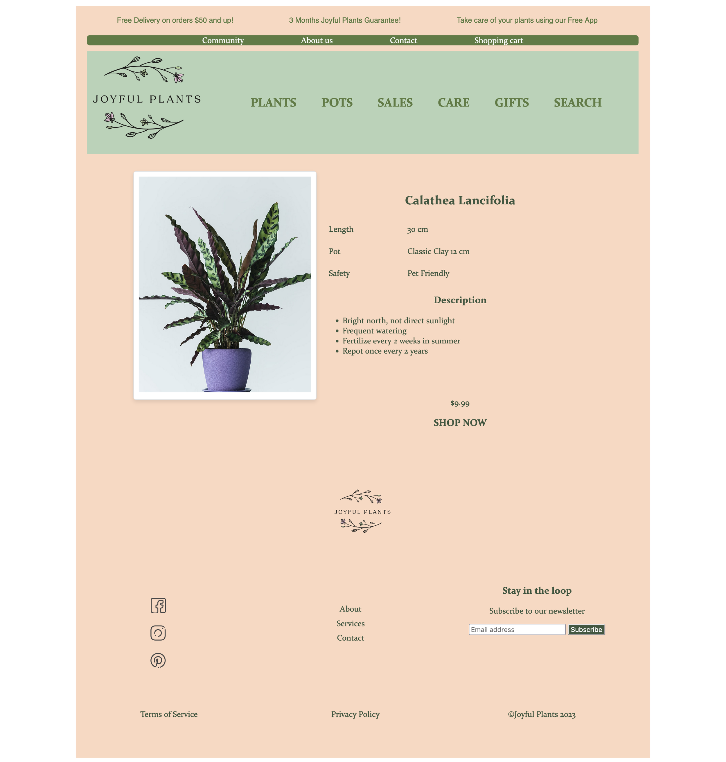 Screenshot 2023-09-19 at 09-47-40 Joyful Plants.png