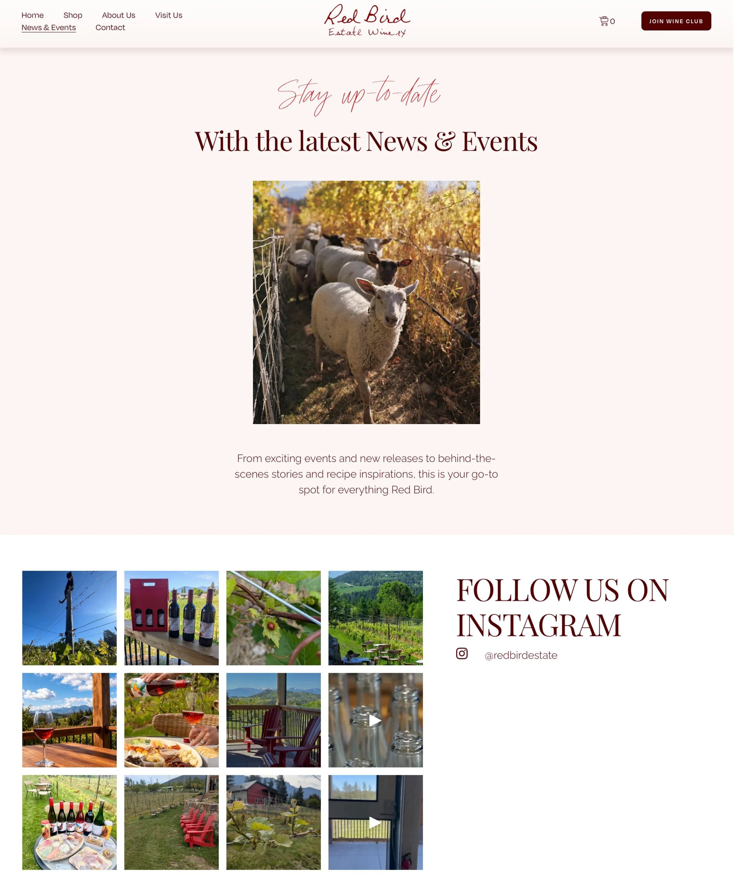 BlogPosts@4x-100.jpg