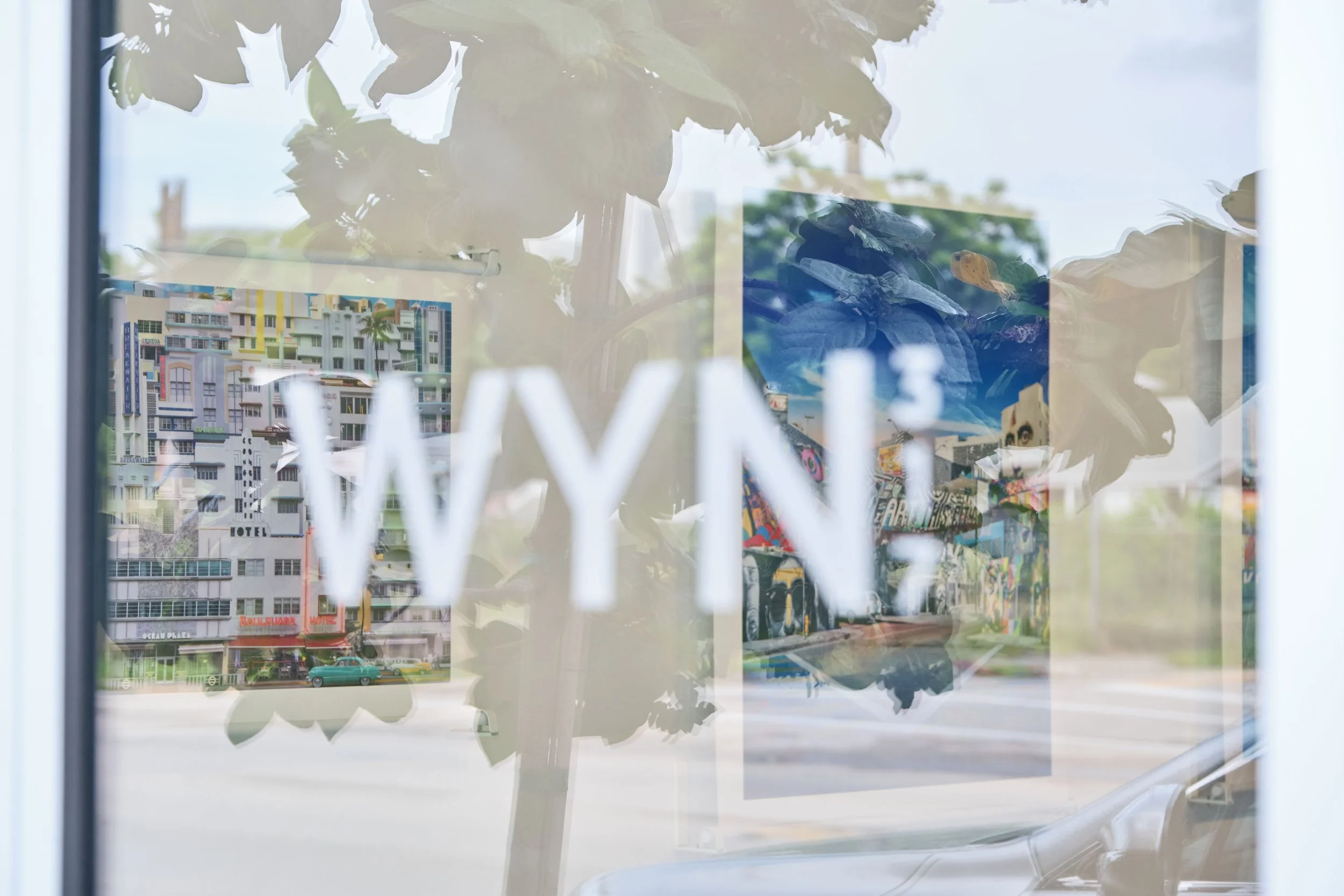 wyn317_RGV13112e.jpeg