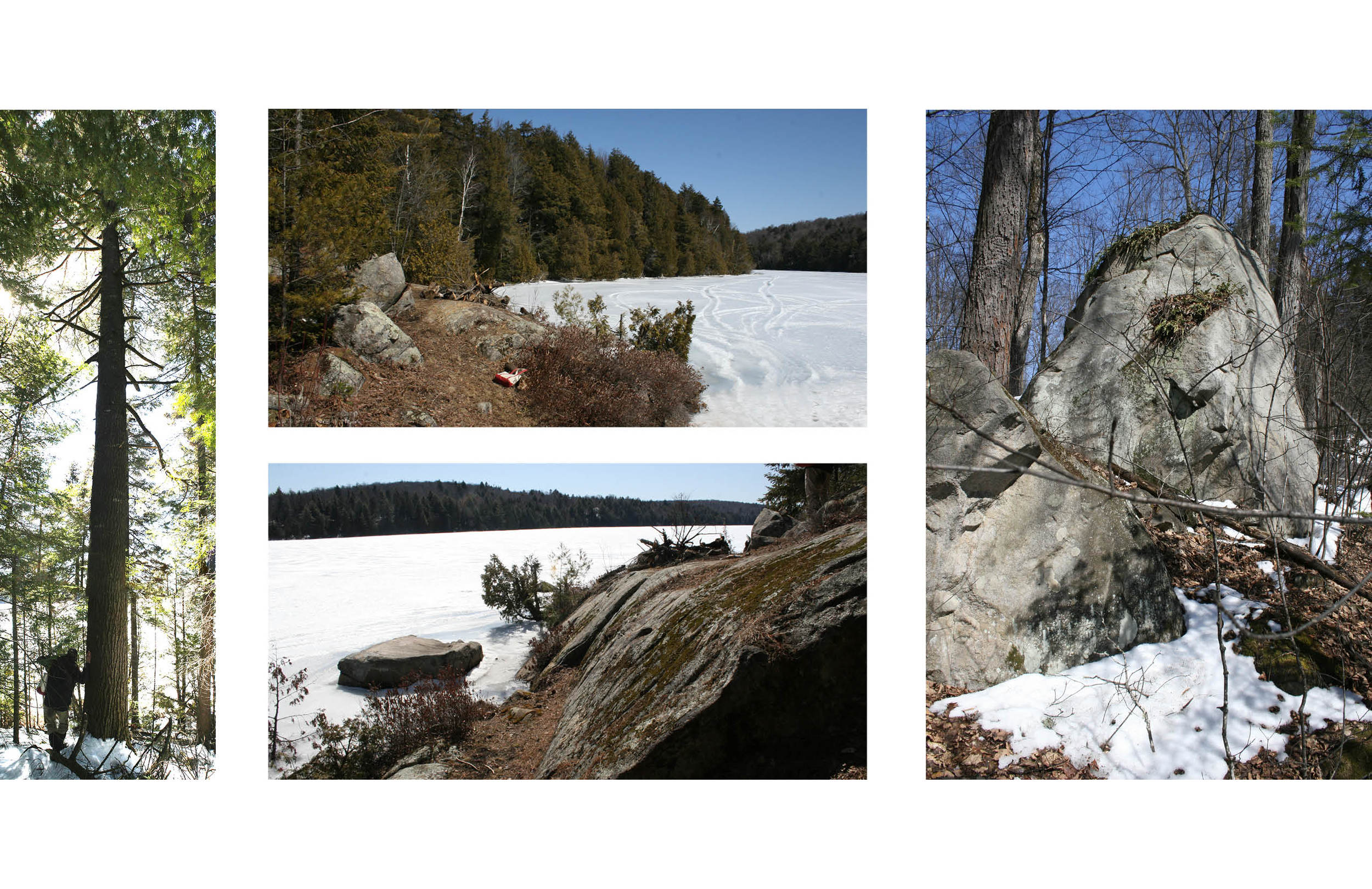 ROBITAILLECURTIS_Domaine_sitephotos_winter.jpg