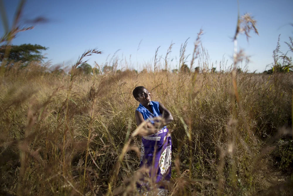 02 MLW-2015-JE-0335.jpeg-web.JPG