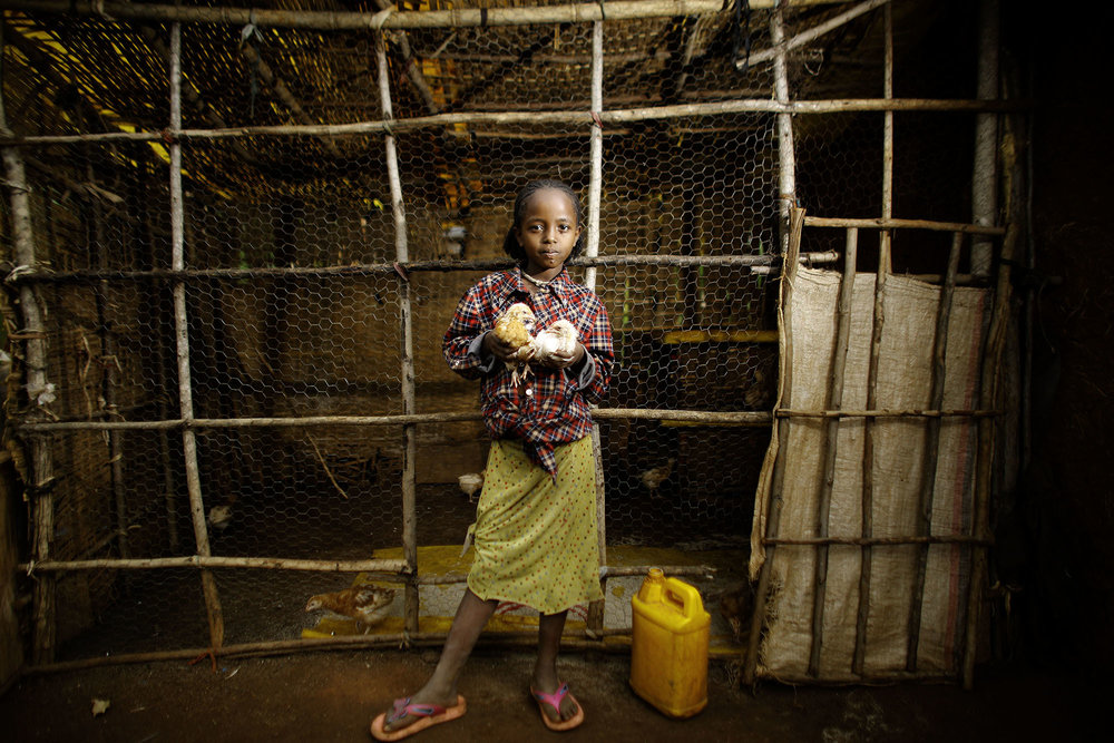  15 April 2016 – In Tula Gorbe village, Sidama, a southern region of Ethiopia, Asanageche Aseffa (wife of Guluna Gademo), 40, has changed her life. She says ‘I raise poultry and my husband and I produce honey. Life now is incomparable with the past. 